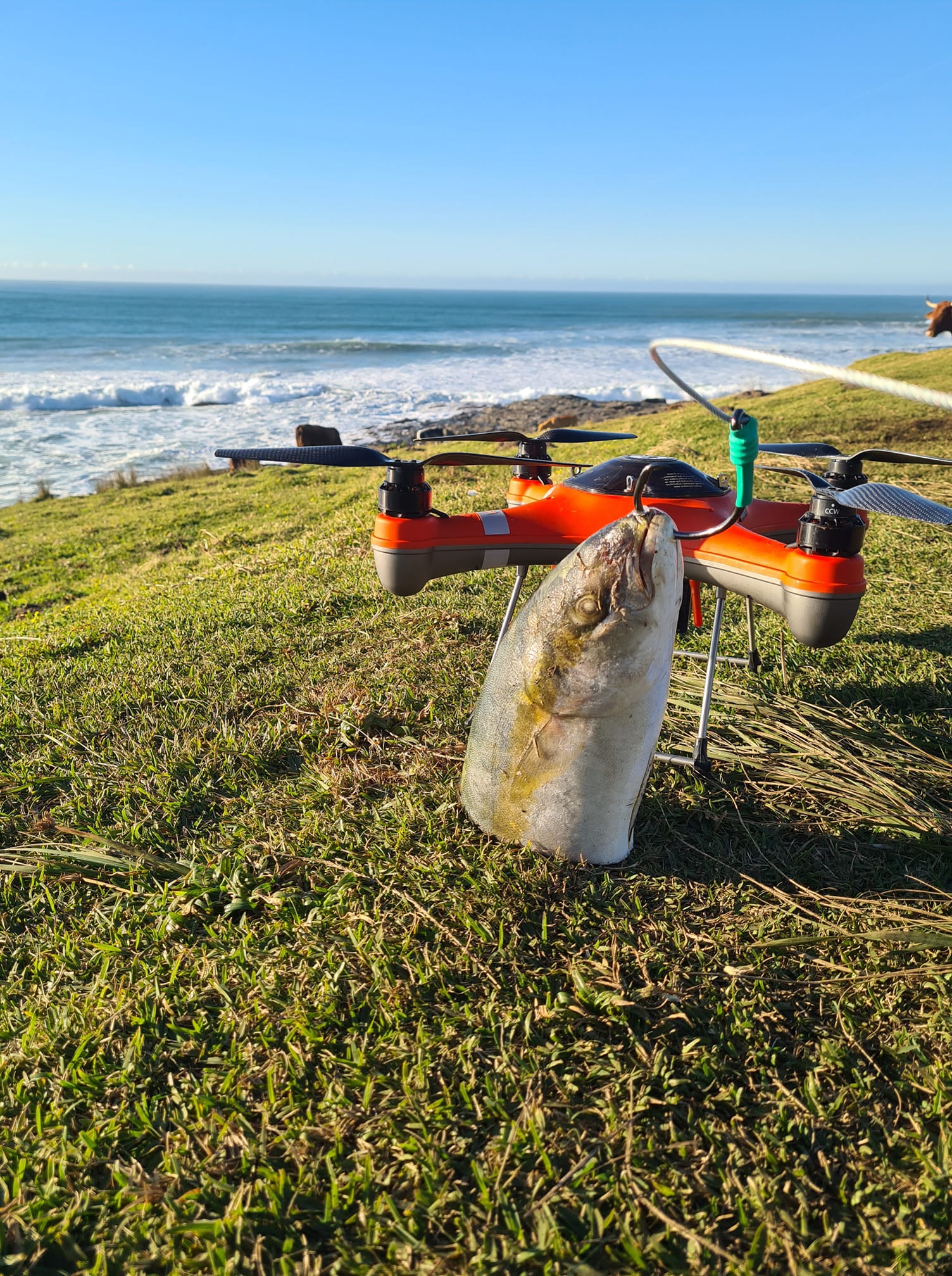 Embracing Drone Fishing: A Seasoned Angler's Guide