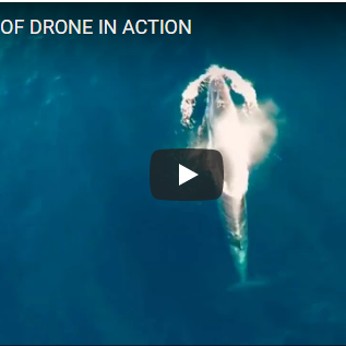Swellpro Splash Drone Compilation Of Videos