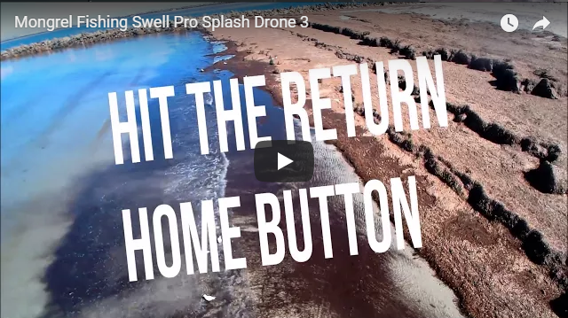 Splash Drone 3's Return To Home (RTH) Button — Urban Drones