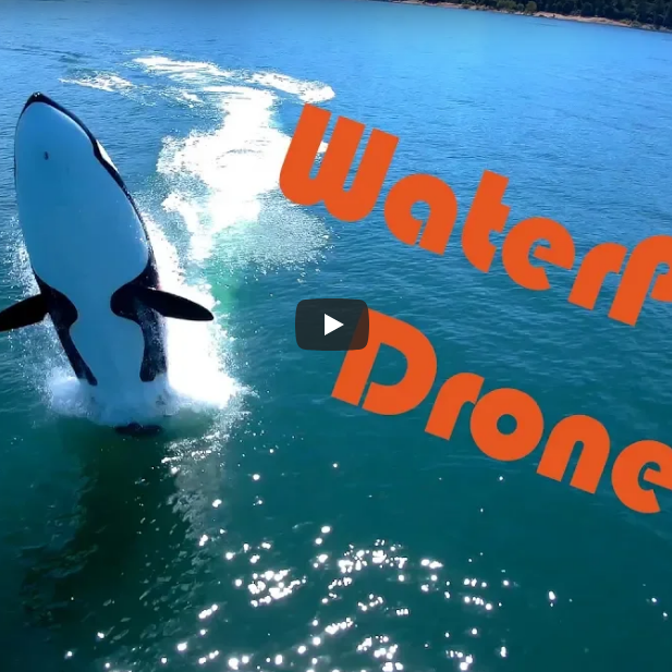 Seabreacher and Splash Drone 3