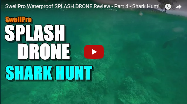 Swellpro Splash Drone Shark Hunting and Product Review