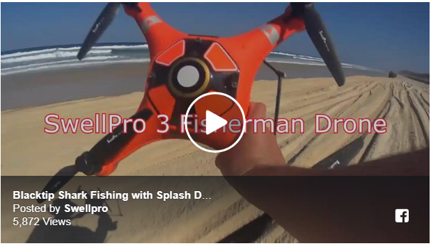Shark Fishing with Swellpro Splash Drone 3